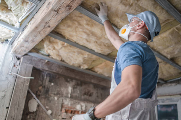 Best Fiberglass Insulation  in Vado, NM