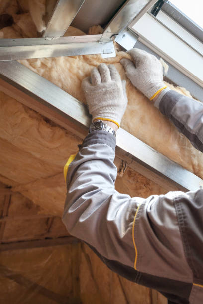 Best Blown-in Insulation  in Vado, NM