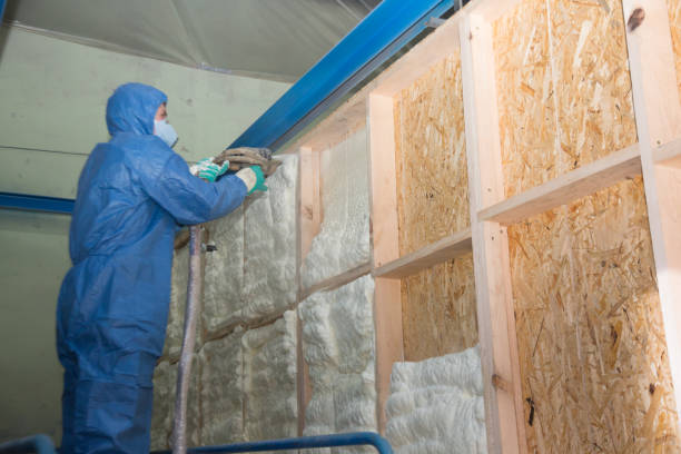 Best Energy-efficient Insulation  in Vado, NM